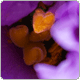 avatar328