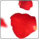 avatar329