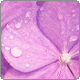 avatar334