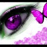 eye12