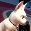 Bolt face