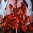 Cheerleader petals vision