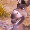 Donkey