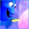 Dory2