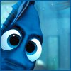 Dory3