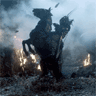 Horse Rearing Up