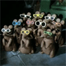 Mice