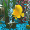 My Bubbles