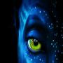 Navi eye