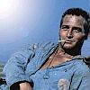 Paul Newman in Cool Hand Luke