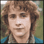 Pippin