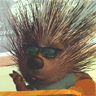 Porcupine In Class