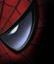 Spider Man