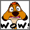 Timon