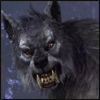 Wolfman   Van Helsing