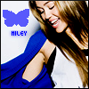 Blue butterfly fun