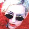 Darcy Red Roses