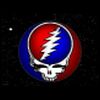 Grateful Dead Steal Your Face Logo