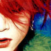 Hide