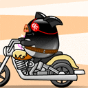 animal127