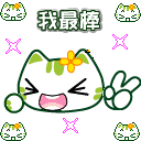 animal17