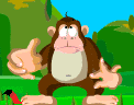 animal19