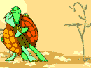 animal229