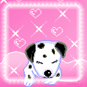 animal261