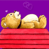 animal317