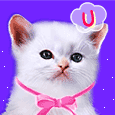 animal323