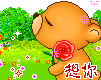 animal80