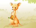 animal81