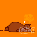 animal88