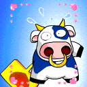 animal91