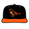 Baltimore Orioles Cap