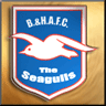 Brighton  Hove Albion Gold