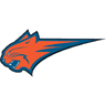 Charlotte Bobcats 2