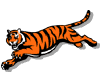 Cincinnati Bengals 3