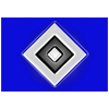 Hamburg SV new