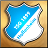 Hoffenheim gold