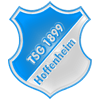 Hoffenheim new