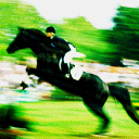 Horsejumper