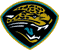 Jacksonville Jaguars 2