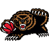 Memphis Grizzlies 3