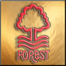 Nottingham Forest Gold