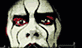 Stings face