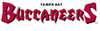 Tampa Bay Buccaneers Logo