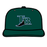 Tampa Bay Devil Rays Cap