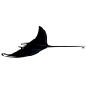 Tampa Bay Devil Rays Logo 2