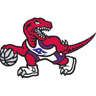 Toronto Raptors 2